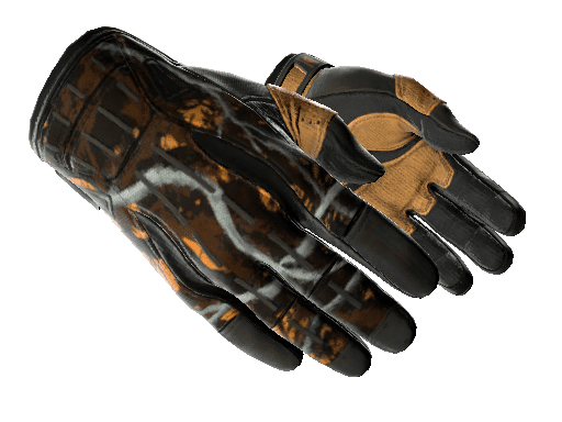★ Sport Gloves | Big Game